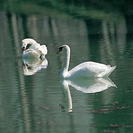 Relais Todini - Residenza D'epoca - Luxury Historic House