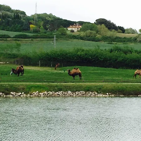 Relais Todini - Residenza D'epoca - Luxury Historic House Hotel Todi