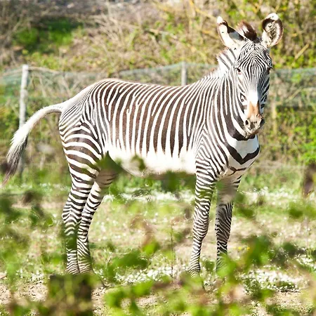 Relais Todini - Residenza D'epoca - Luxury Historic House Hotel Todi