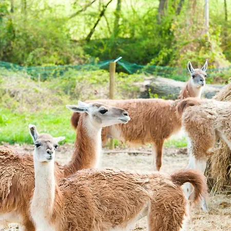 Relais Todini - Residenza D'epoca - Luxury Historic House 호텔