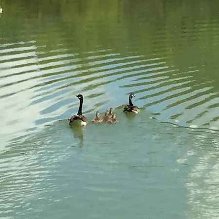 Relais Todini - Residenza D'epoca - Luxury Historic House 5* Todi