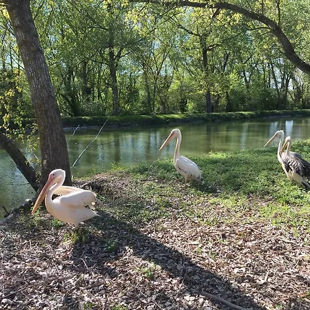 Relais Todini - Residenza D'epoca - Luxury Historic House 호텔 토티