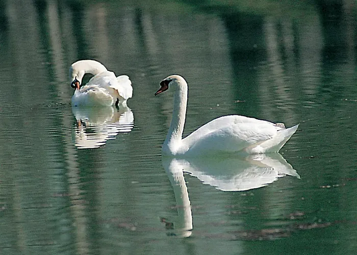 Relais Todini - Residenza D'epoca - Luxury Historic House