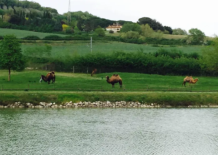 Relais Todini - Residenza D'epoca - Luxury Historic House Hotel Todi