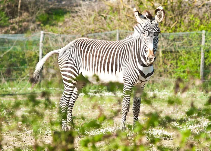 Relais Todini - Residenza D'epoca - Luxury Historic House Hotel Todi