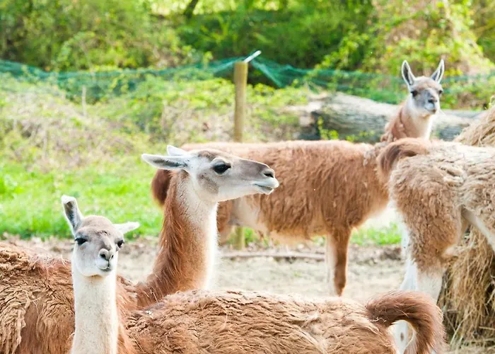 Relais Todini - Residenza D'epoca - Luxury Historic House Hotel