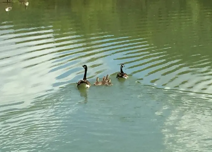 Relais Todini - Residenza D'epoca - Luxury Historic House 5* Todi