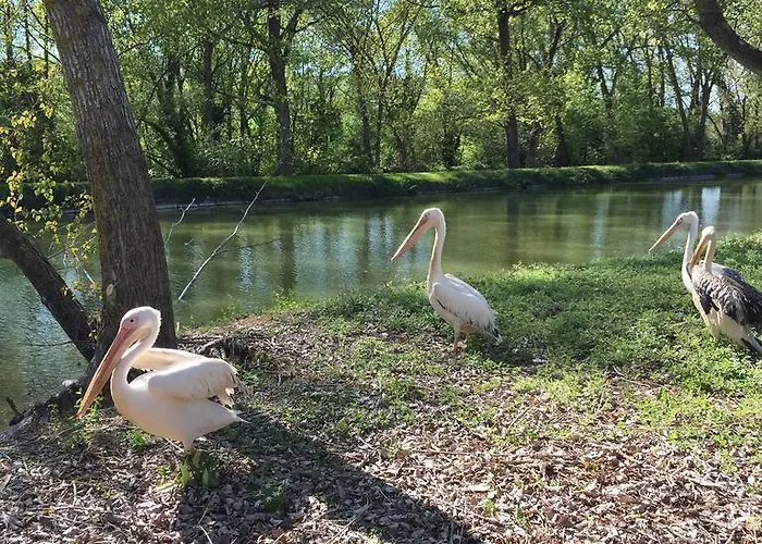 Relais Todini - Residenza D'epoca - Luxury Historic House Hotel Todi
